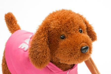 泰迪犬听什么音乐好呢
