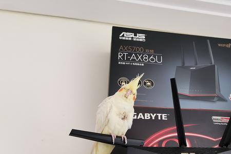 ax86u适合多大面积
