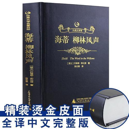 风声小说深度解析