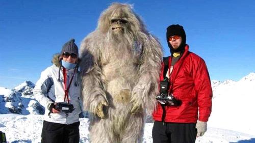 偷雪人犯法吗