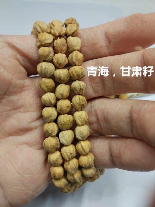 热振百香籽的特点