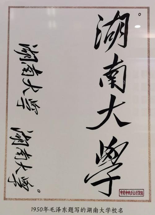 大学一共多少字