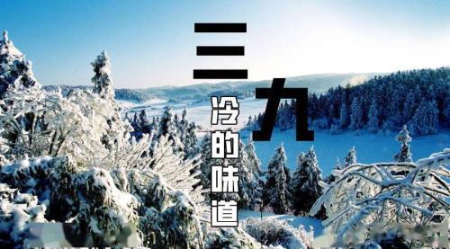 今年三九天时间表