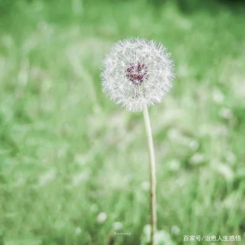错一步毁一生的句子