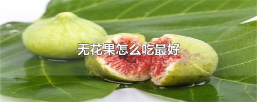 无花果怎么吃的