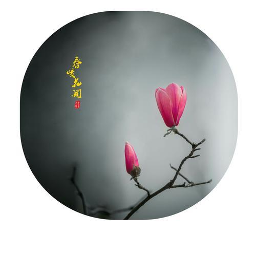 心素如简适合什么人
