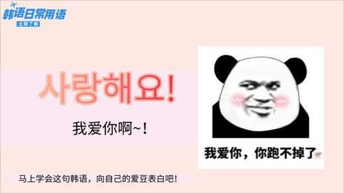 我喜欢你吐泡泡是第几集