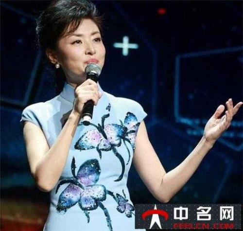 央视十大名嘴是谁啊