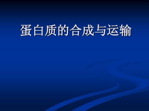 蛋白质的形成过程