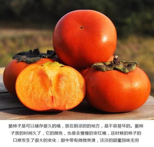 脆柿子怎么泡才脆甜好吃