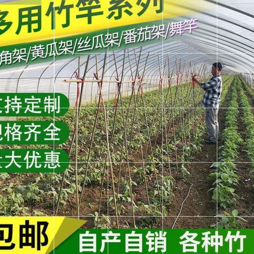 泡沫箱种黄瓜怎么搭架