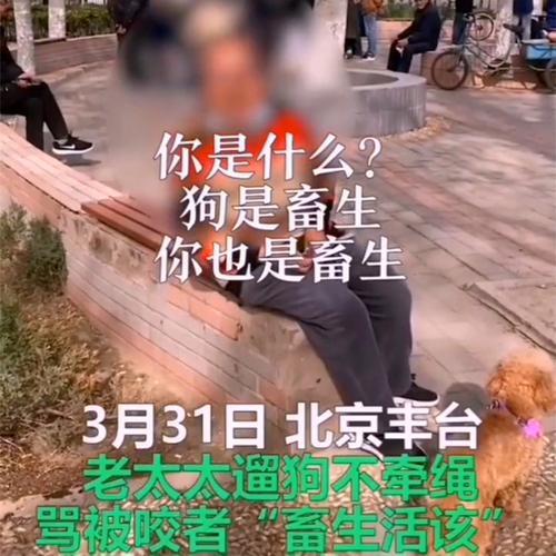 畜牲是什么意思