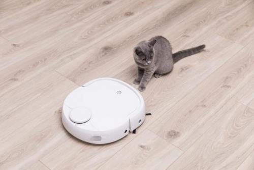 什么时候拖地扫地最好