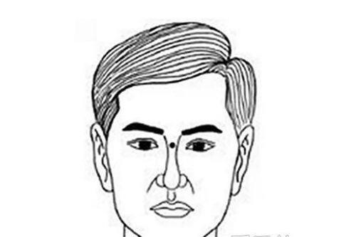 山根是什么意思