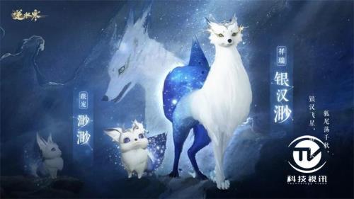 灵狐和狐狸有什么区别