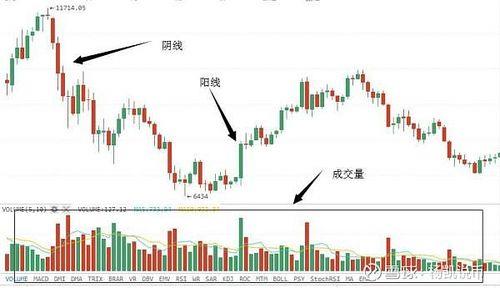 下影线长代表什么