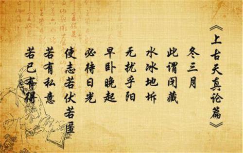 阳冬什么意思