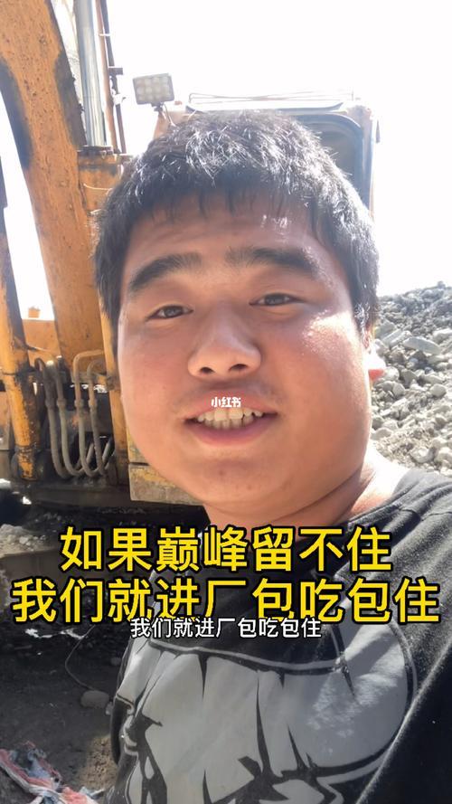 如果巅峰留不住的歌词含义