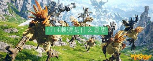 顺劈什么意思