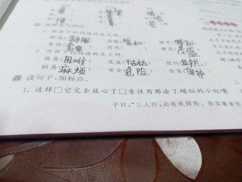 保护反义词