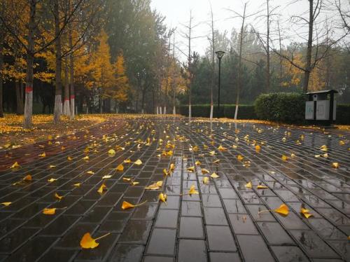 下小雨窗户开了一点会进雨吗