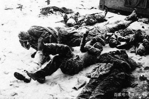 视死如归出自哪里