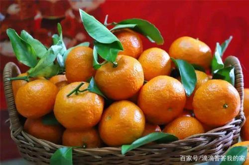 砂糖橘多久吃