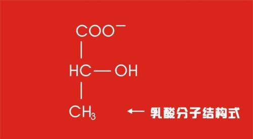 乳酸的结构简式