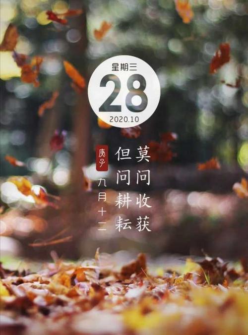 莫问收获但问耕耘什么意思
