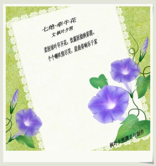 主角叶七绝程曦的小说