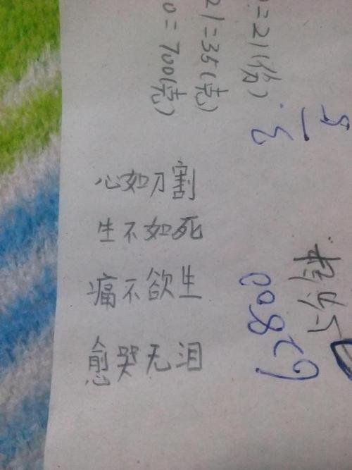 11是什么四字成语