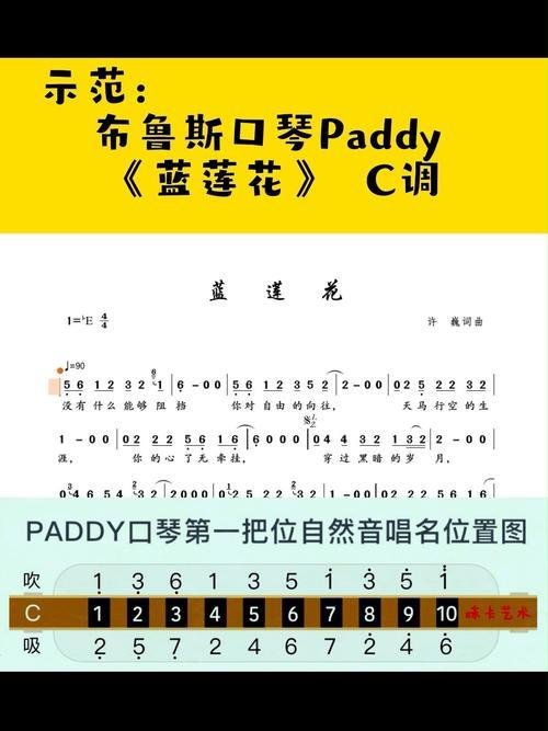paddy和c调的区别