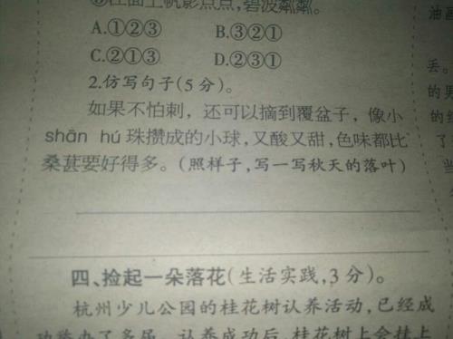 兔子拟人句仿写