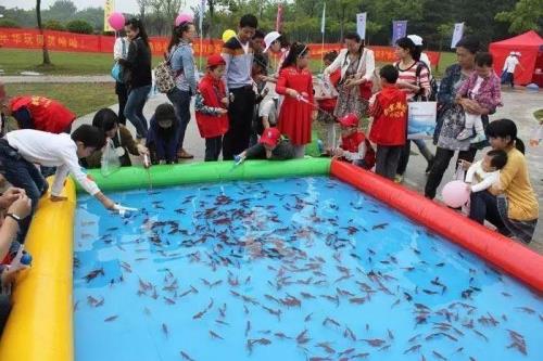 怎么钓金鱼啊