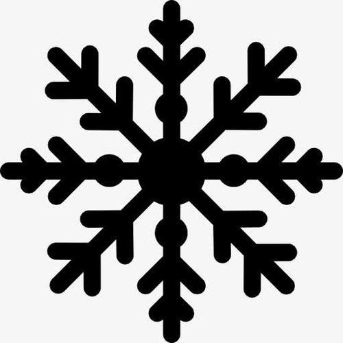 什么什么的雪花填合适的词