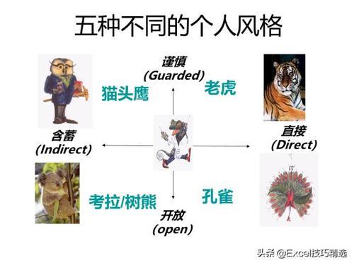 PDP是什么