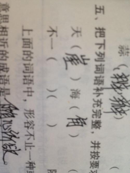 帕字可以组什么词语