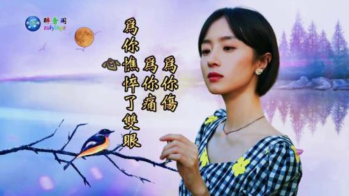 痴情的人相思的泪原唱