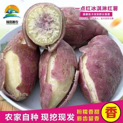 一点红红薯是转基因吗