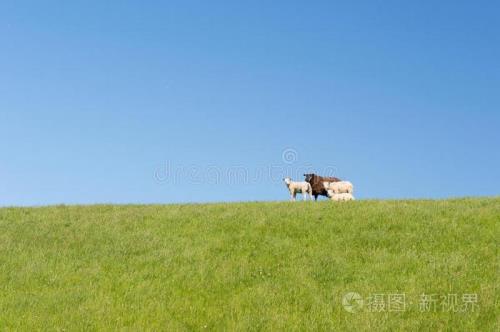 格马串和马格串哪个快