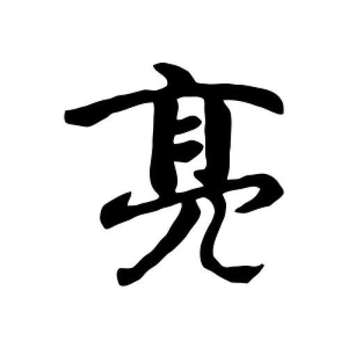 亮字组什么词