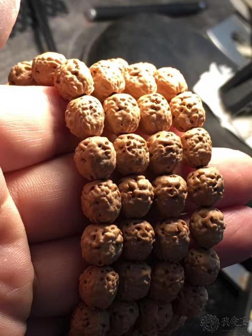 佛手小金刚发白是怎么样回事