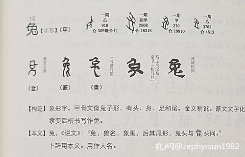 兔走在一起是什么字