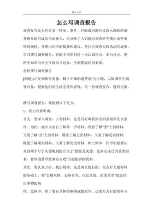 怎么设置考察报告正文