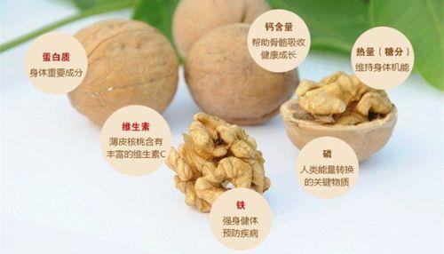 核桃仁的营养成分含量表