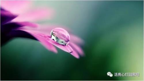 晴耕雨读心灯不夜什么意思