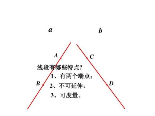 只有一个端点的线段叫什么
