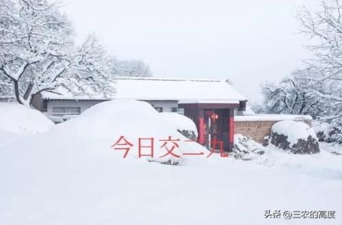 今年什么时候进九第一天
