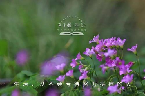 奋发向上下一句