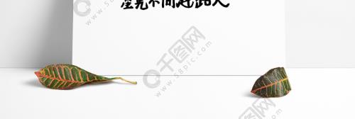 明月不问赶路人的意思
